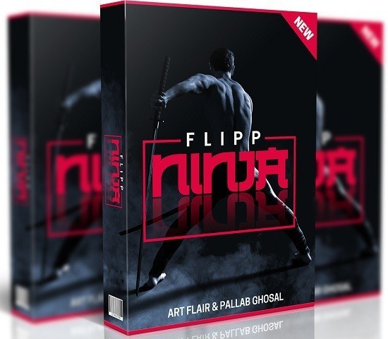 The Flipp Ninja Review